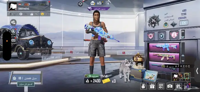 حساب ببجي للبيع 6