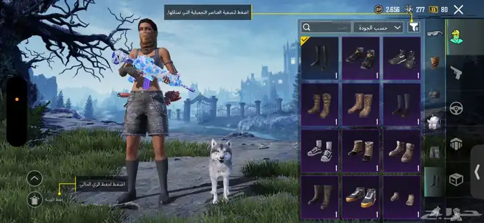 حساب ببجي للبيع 10