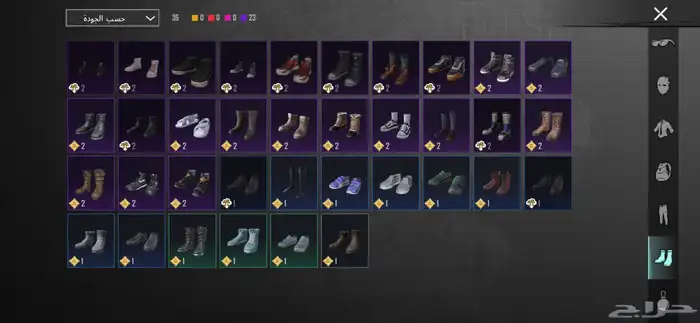 حساب ببجي 21