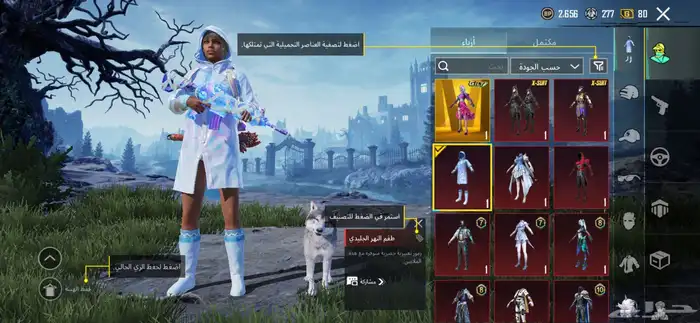 حساب ببجي للبيع 2