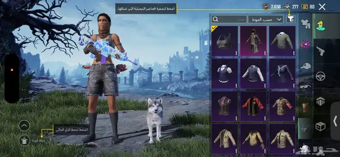 حساب ببجي للبيع 13