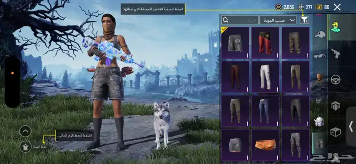 حساب ببجي للبيع 12