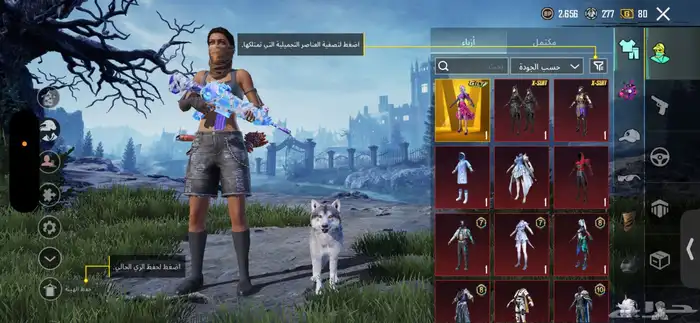 حساب ببجي للبيع 18