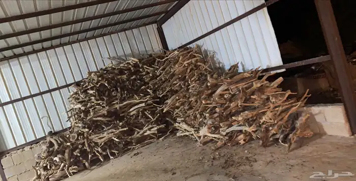 حطب سمر افريقي 0