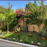 مشتل تنسيق حدائق 8