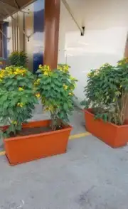 مشتل تنسيق حدائق 9