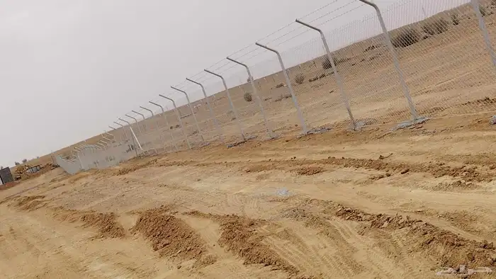 نقوم بتوريد جميع انواع النخيل وتركيب الشبوك 1