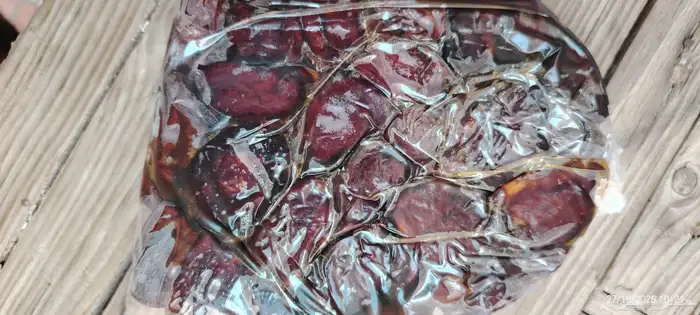 تمر . تمور . وصيلي 5