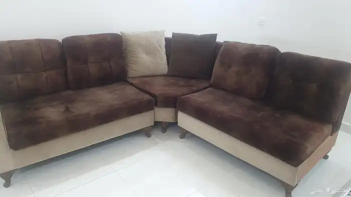 مجلس شبة جديد 2