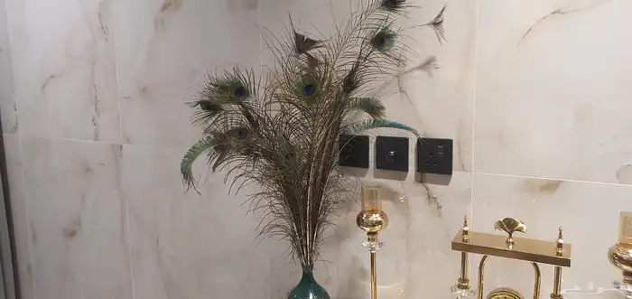 مزهريات ريش طاووس طبيعية 0