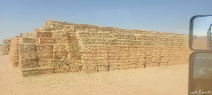 دره جزانى اخمر م اس 87 1