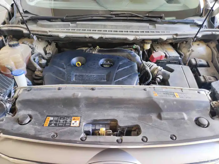 فورد (ايدج) قمة في النظافة 18