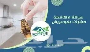 أدوات رش مكافحة الصراصير البق النمل بالمدينة المنورة 1