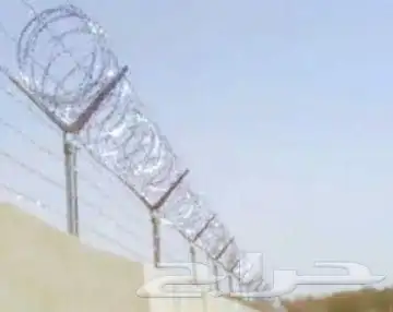 مقول شبوك بجميع الموصفت وزرعت نخيل 0