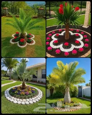 يوجد جميع انواع الاشجار والنباتات يوجد تيل طبيعي 2