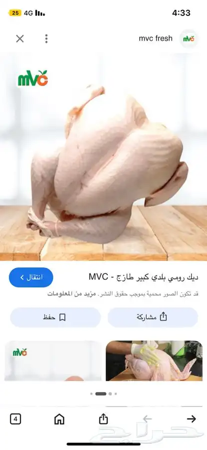 سمان ديك رومي ووز عراقي وبلدي بط بكيني الرمال 1