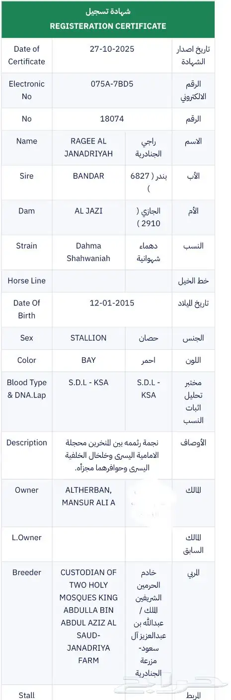 فحل متاح للتشبية لوجة الله تعالى 1