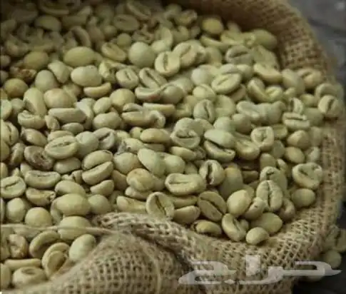 بن مختص يمني(حمصه امريكي و عربي ) سعر منافس وجودة (جرب) 0