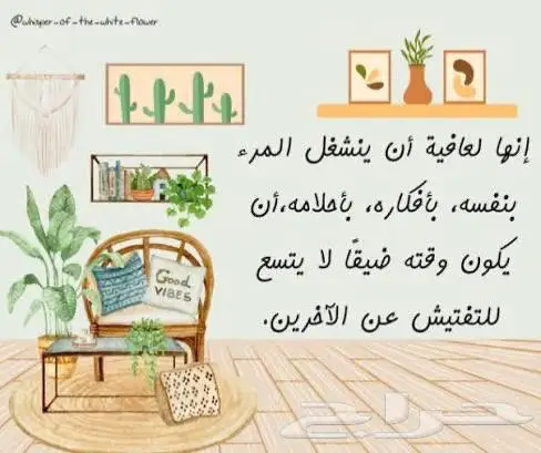 احتاج شقة للبيع 0