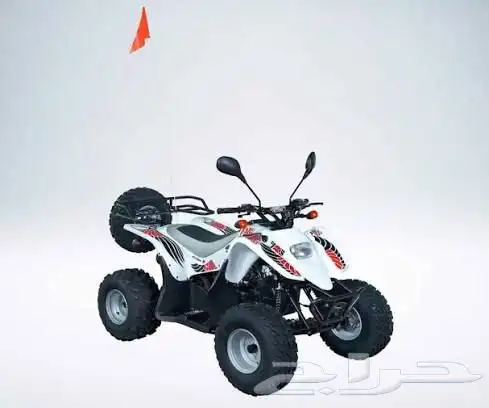 تايواني 100 جديد 2