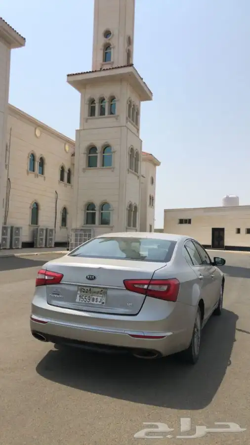 كياء كادينزا 2014 2