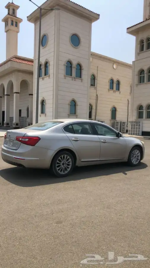 كياء كادينزا 2014 1