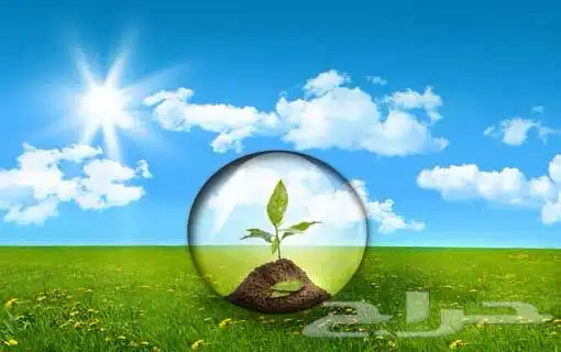 التصريح البيئي 0