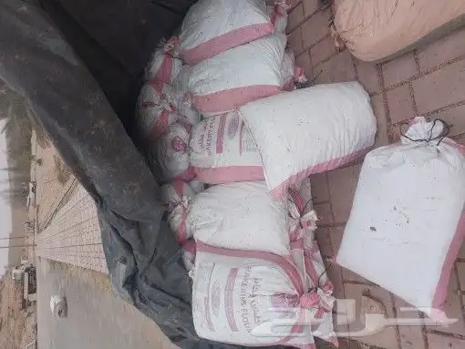 تمر حلال تمر نظيف جدا 1