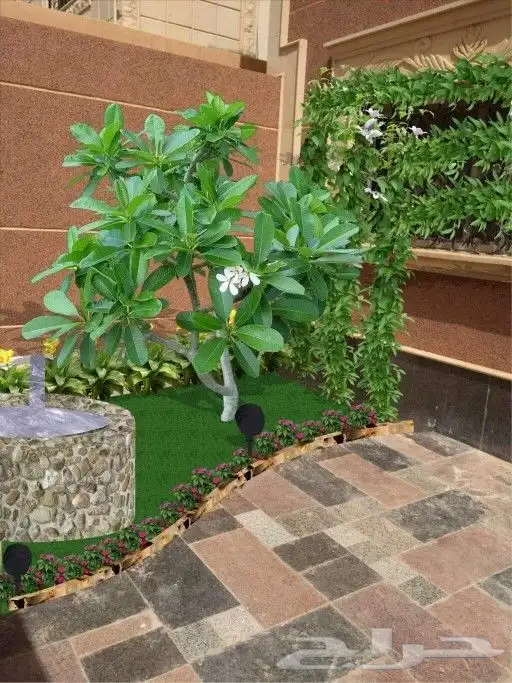 مشتل لتنسيق الحدائق 6