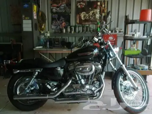 هارلي سبوستر مطلوب شاصي هارلي مع لوحه 0