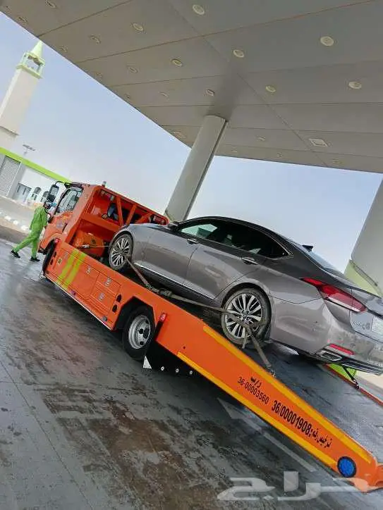 سطحه شرما نيوم البدع قيال تبوك ضبا 0