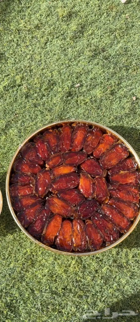 تمر صفري بيشة 0