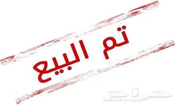 غنم حريات مواليد13 1