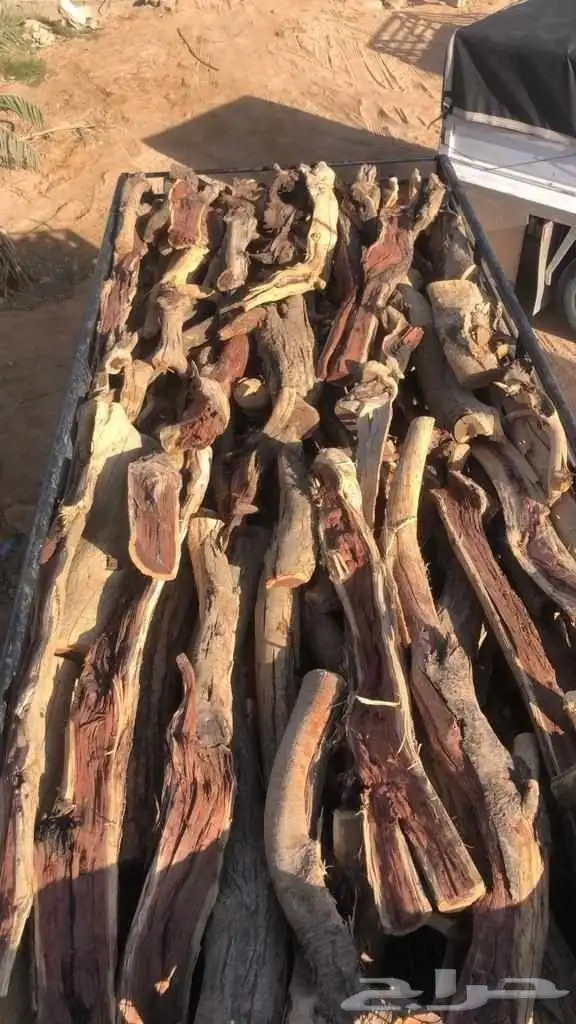 يوجد دينا وسياره شرط طيب وحاجه تجمال 1