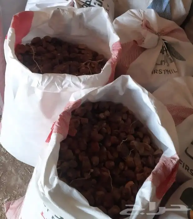 تمر نفيع للحلال 1