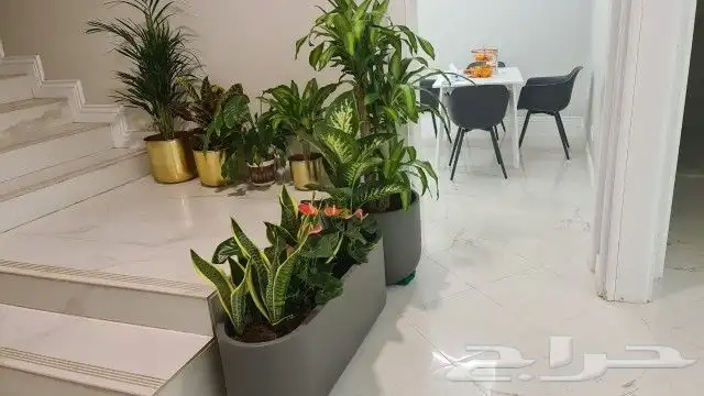 مشتل لتنسيق الحدائق 5