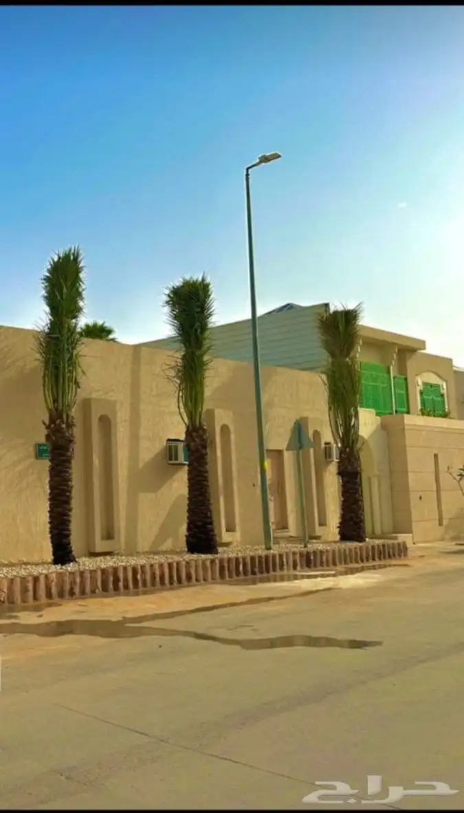 يوجد لدينا توريد جميع انواع نخيل 2