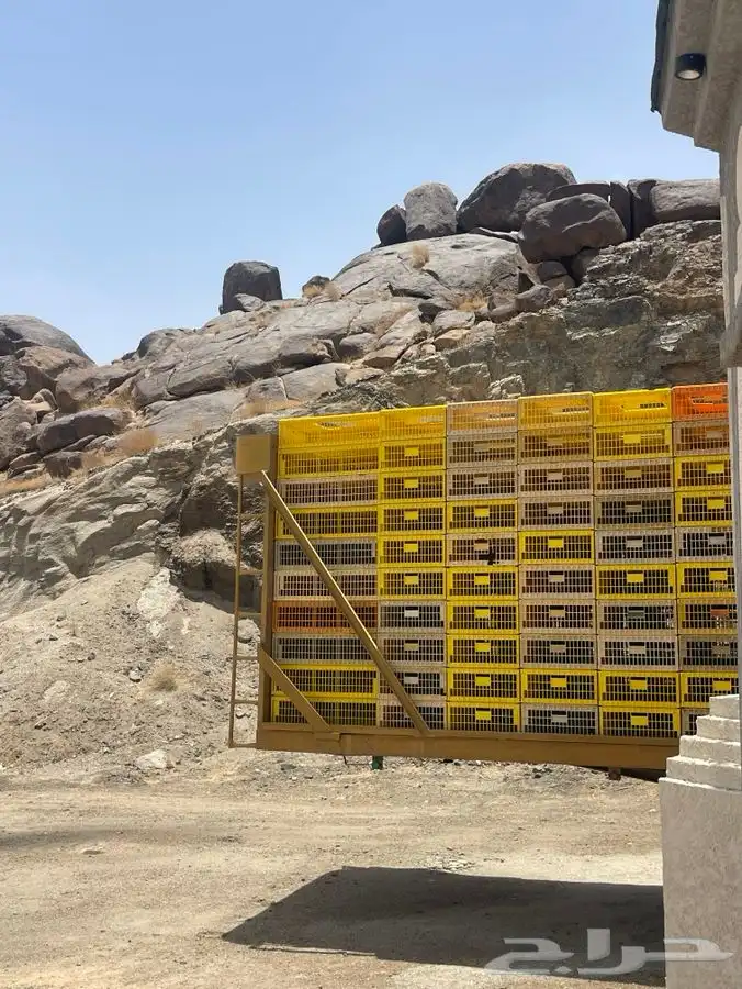 للبيع تيدر نقل دجاج حي 2