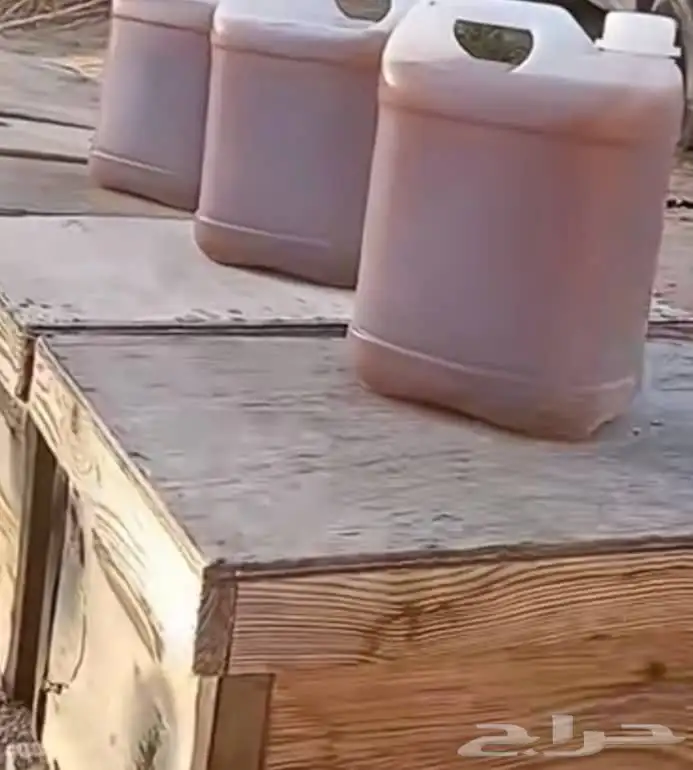 عسل سدر حضرمي اصلي درجه اولى وعلى الشرط 2