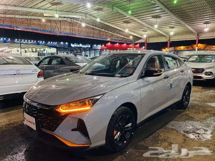 دونج فينج شاين E1 استاندر موديل 25 اقل سعر مع عازل مجاني 1