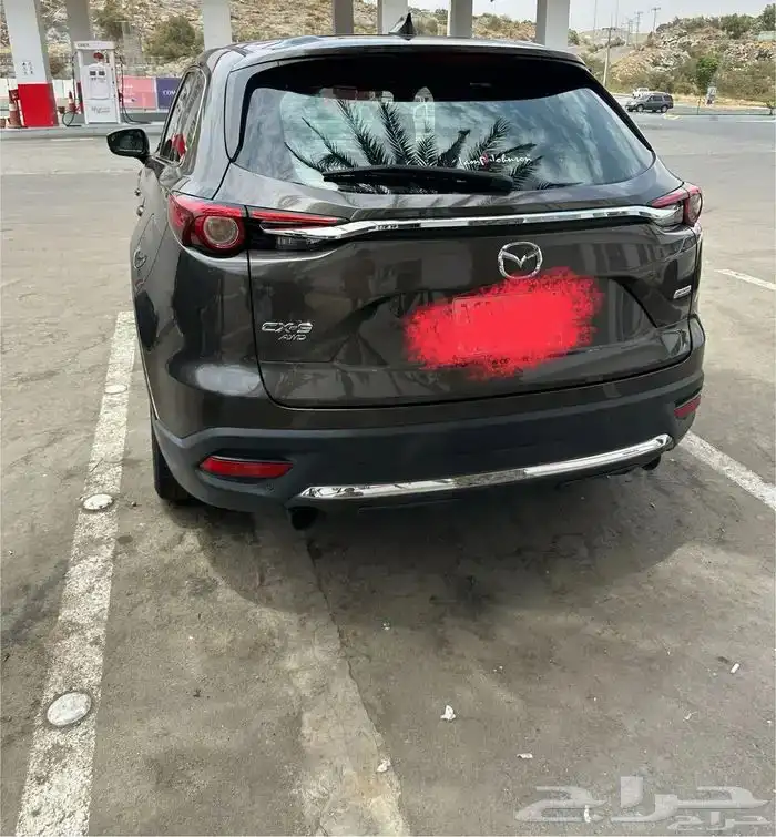 بلجرشي 5