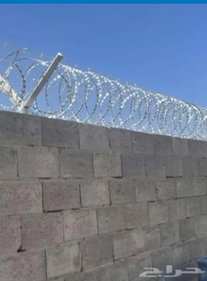 مقول شبوك بجميع الموصفت وزرعت نخيل 8