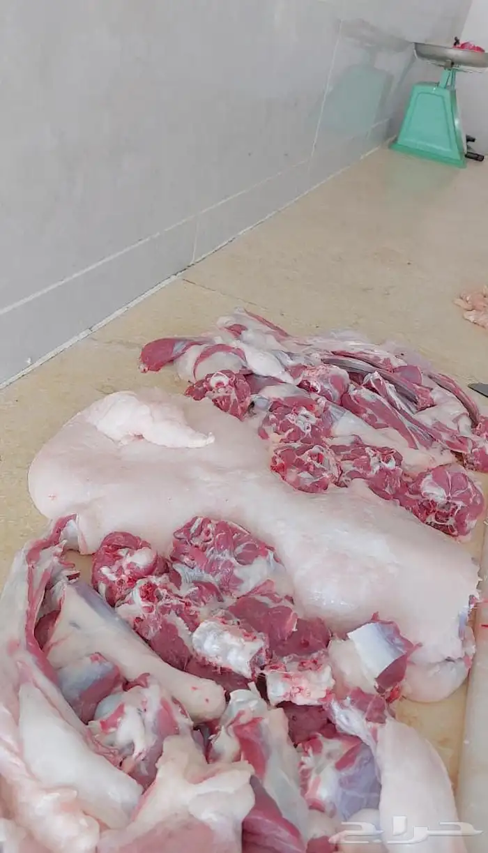 ملحمة النسيم ومزارع بلدي خرفان تيوس يوجد توصيل 3