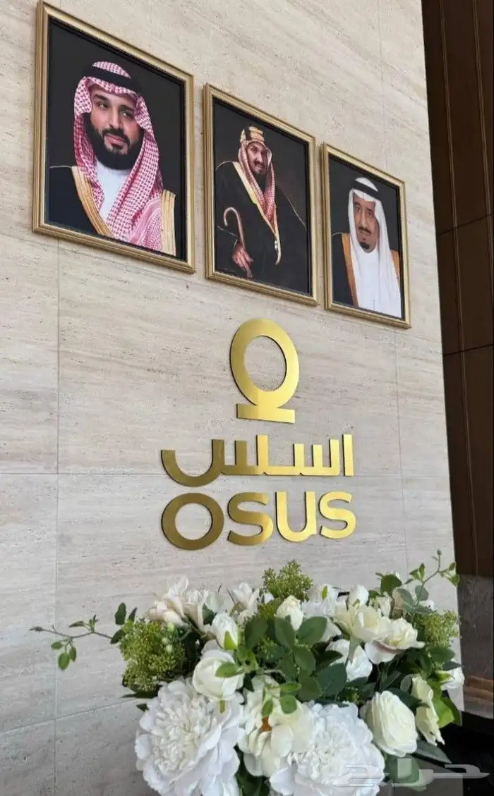 الفلاتر و قطع جميع المعدات الأسعار الجملة باركينز 27