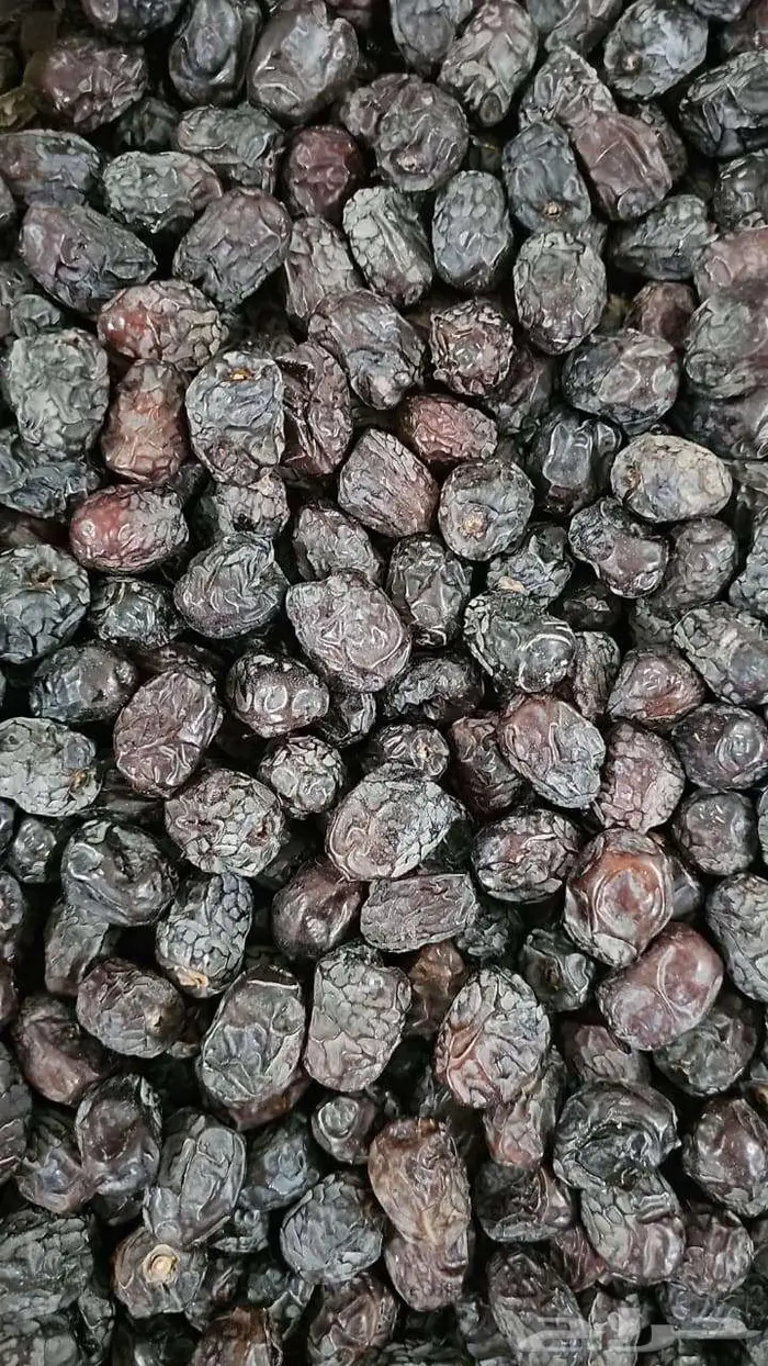 عجوة المدينة المنورة 0