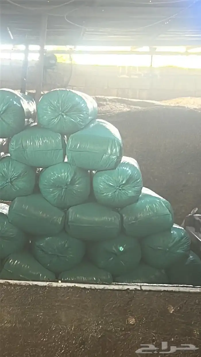 نشارة خيل ودواجن 2