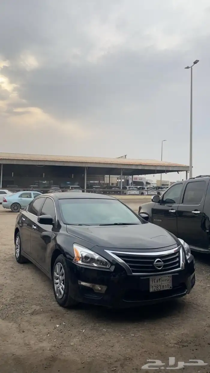 التيما نضيفه 2015 3