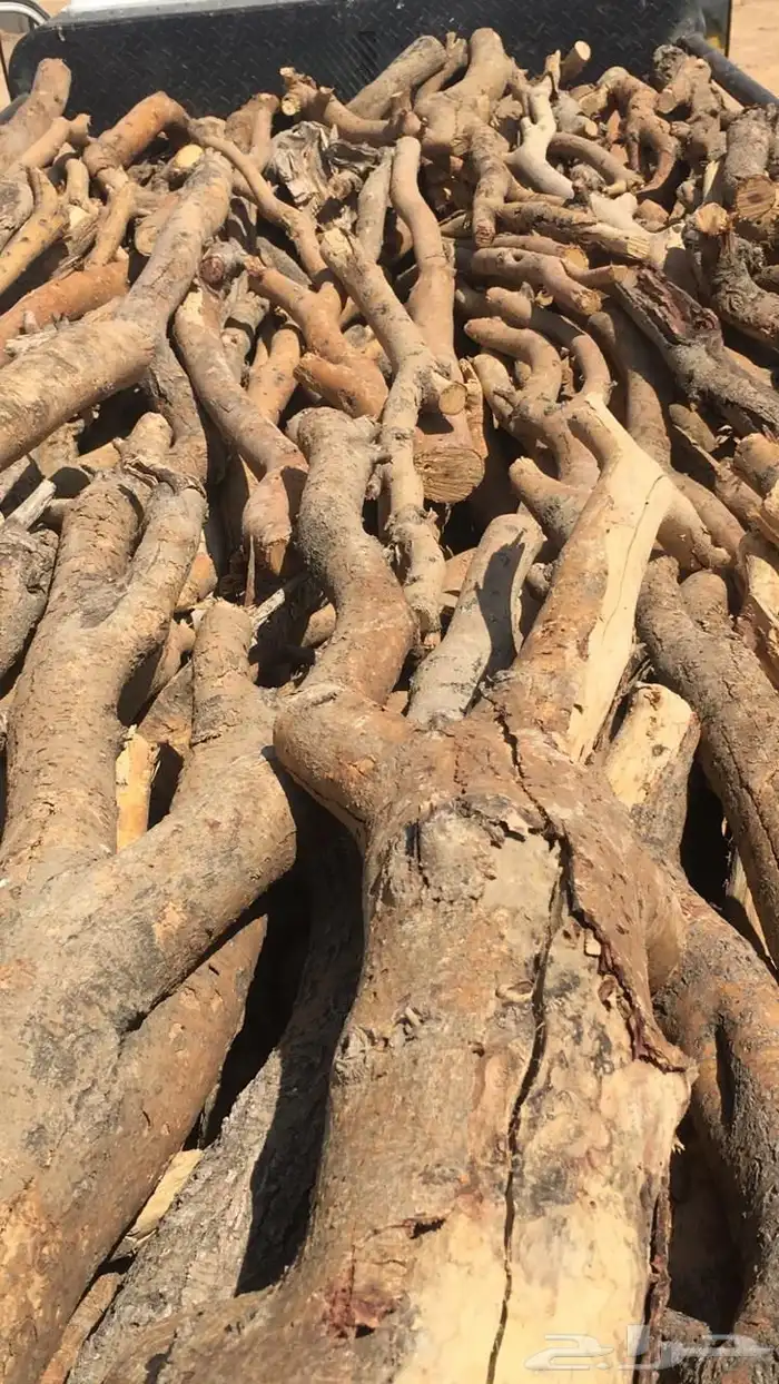 حطب سمر افريقي 6