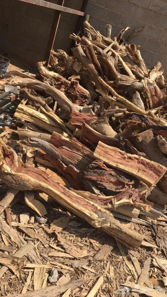 حطب سمر افريقي 8