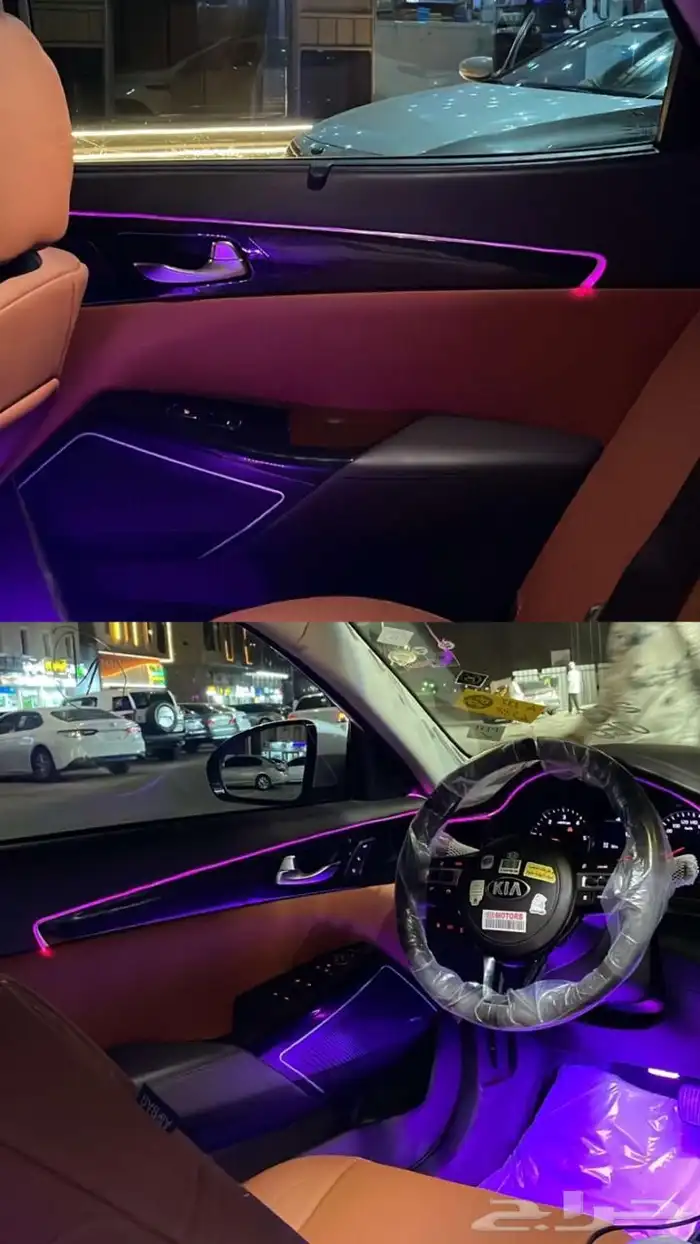 كادنزا للبيع 1